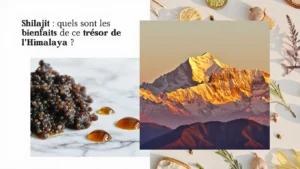 bienfaits du shilajit